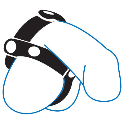 An illustration showing how to wear the T-Divider Cock and Ball.