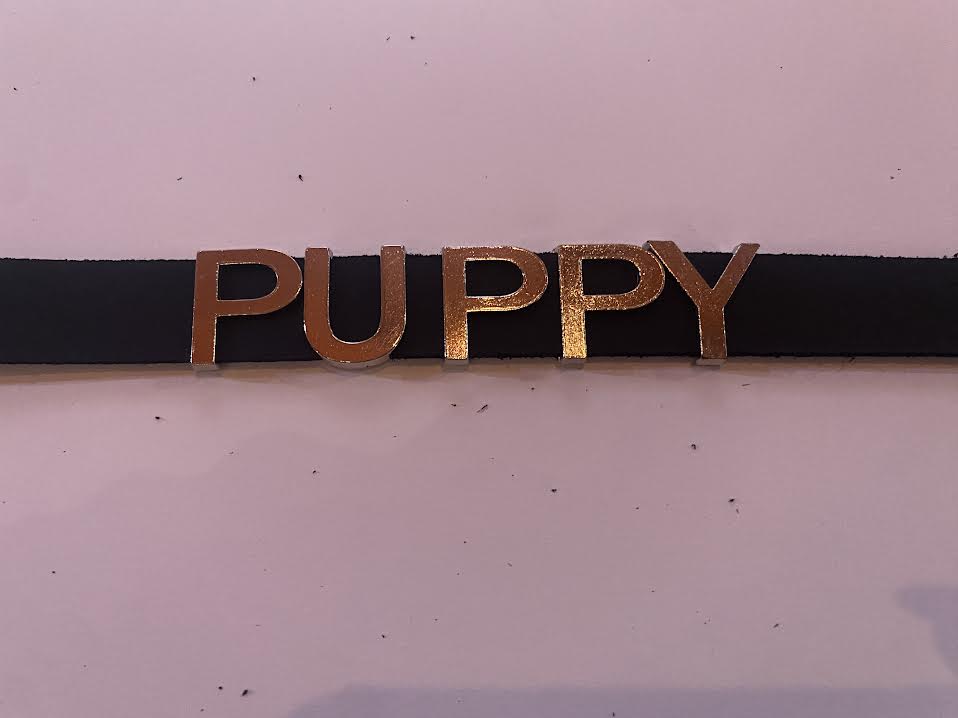 Funk Plus Leather Name Choker