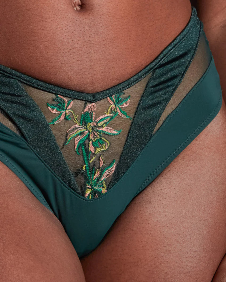 Thistle and Spire "Cyrene" Cheeky Panty