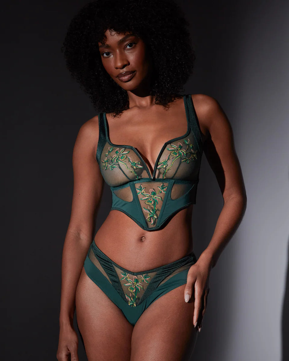 Thistle and Spire "Cyrene" Cheeky Panty