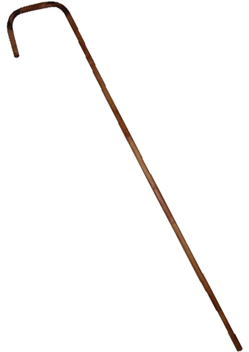 Bamboo Cane 29in''