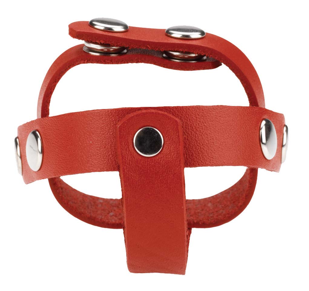 The red leather T-Divider Cock and Ball.