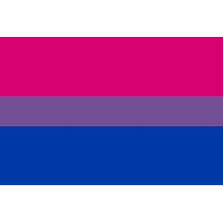 Bisexual Pride Flag