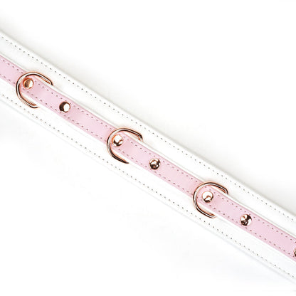 White and Pink Leather Collar with Chain Leash Close Up on Metal Hardware