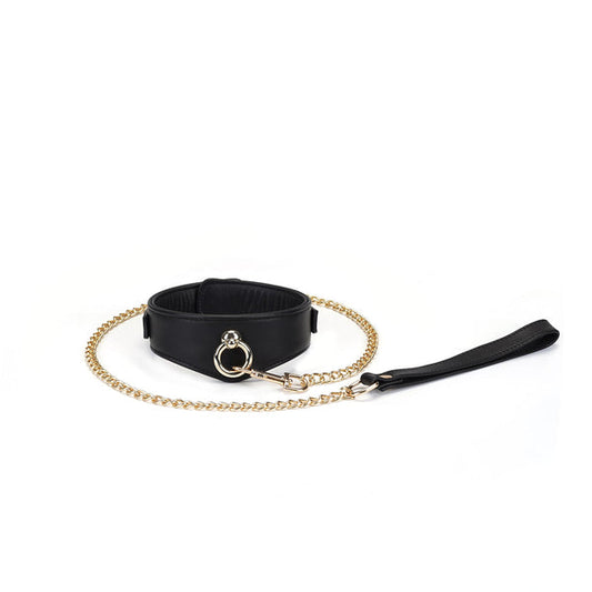Leather Collar with Chain Leash and Lock Overhead View