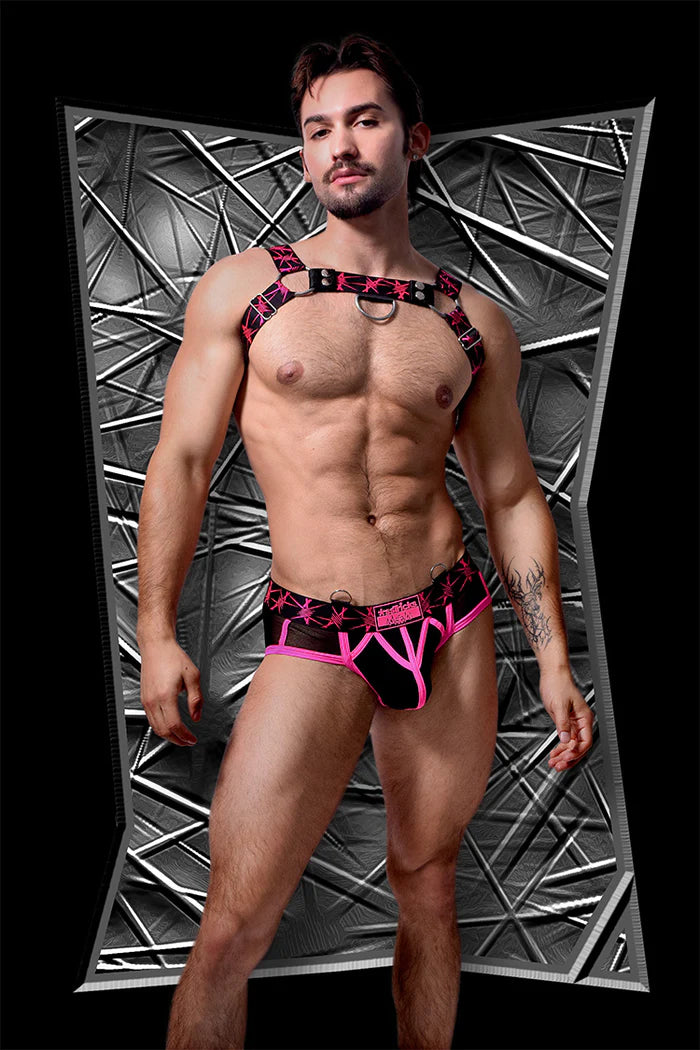Stinger Harness