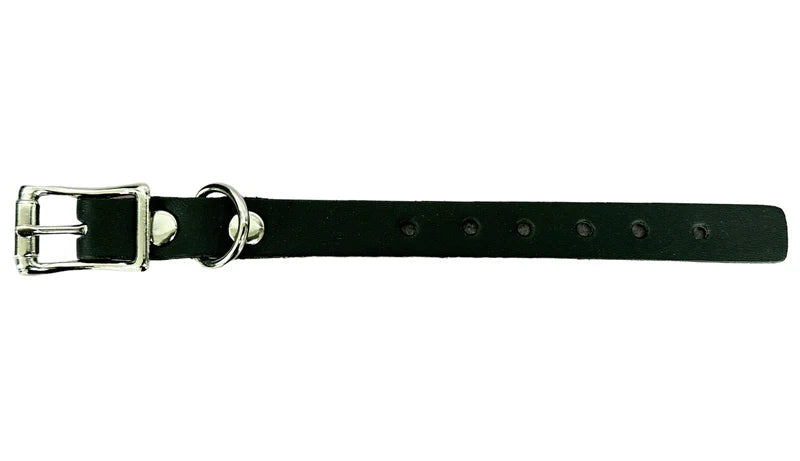 Funk Plus Choker Extensions