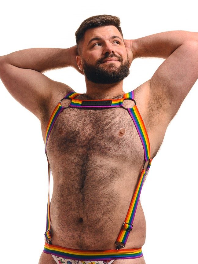 Sport Full Elastic Harness