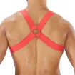 Fetish Elastic Harness