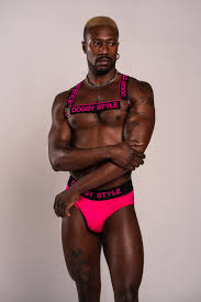 Doggy Style Logo Harness