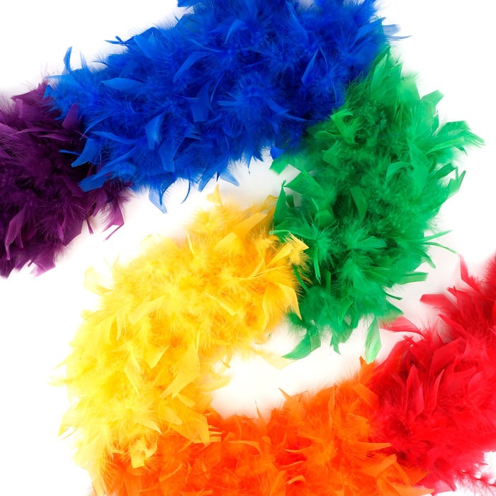 Large Rainbow Feather Boa, PRIDE Parade Feather Boa, Feather Boa