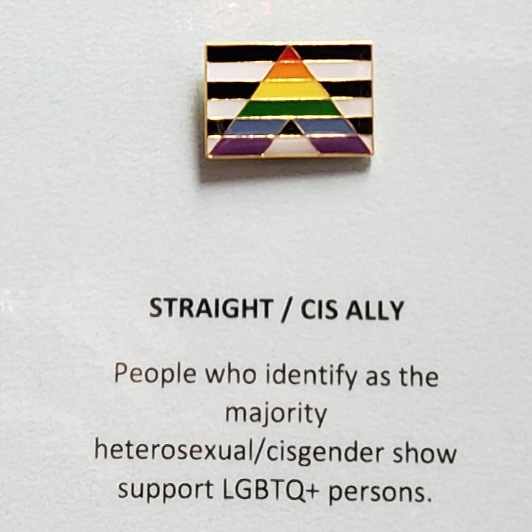 Enamel Pride Flag Lapel Pin Ally Flag Rectangle