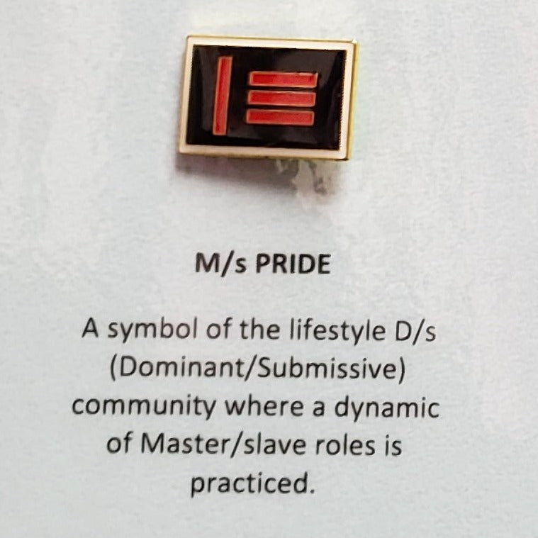 Enamel Pride Flag Lapel Pin Master / slave Pride