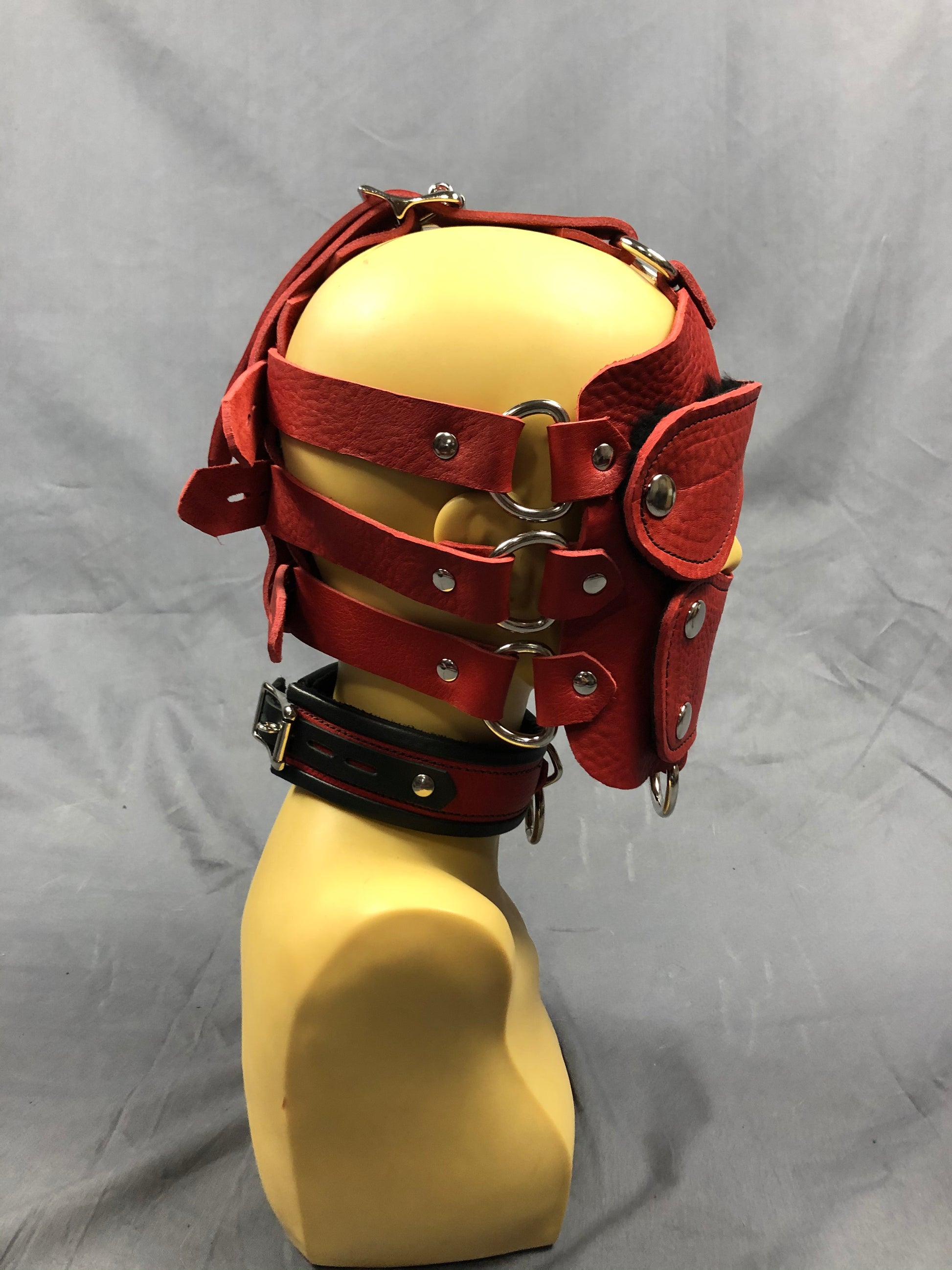 Side view of red bullhide head harness.