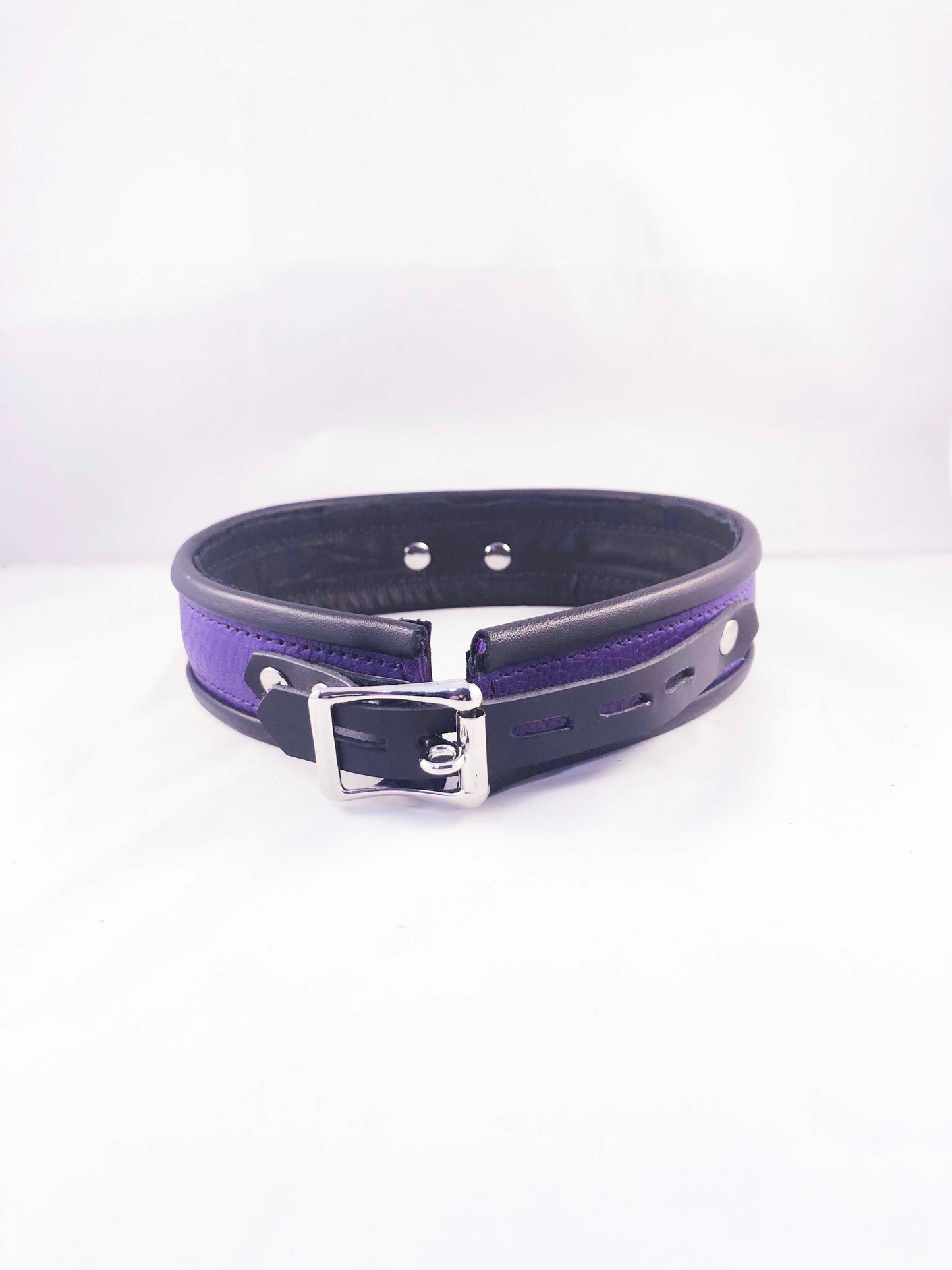 Purple collar, back.
