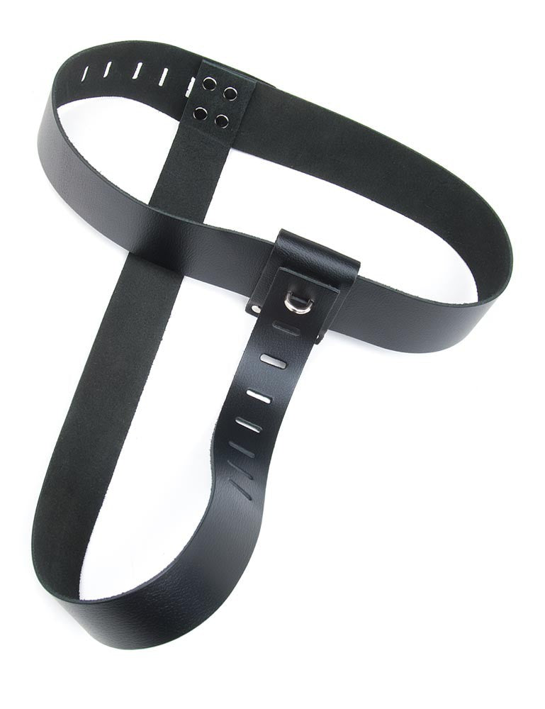 Strap-In Chastity Harness