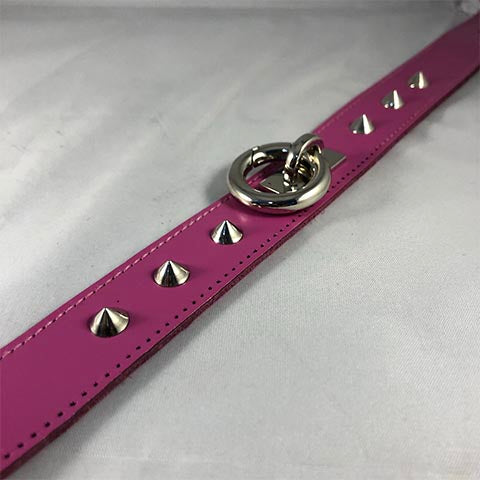 Close up of studs and o-ring of leather rouge collar.