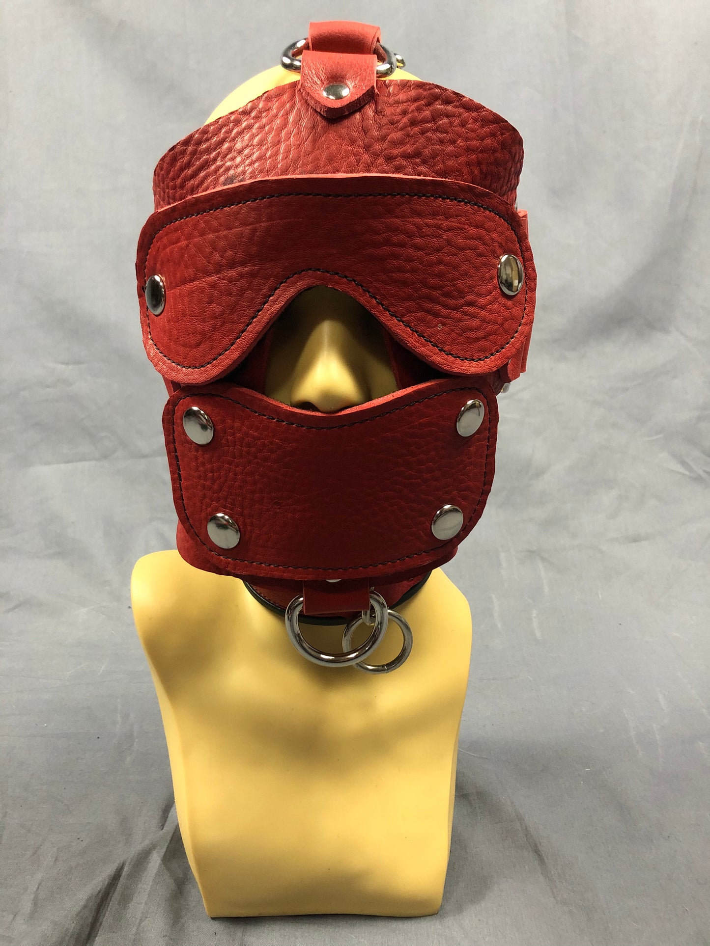 Close up of front of Red Bullhide head harness.