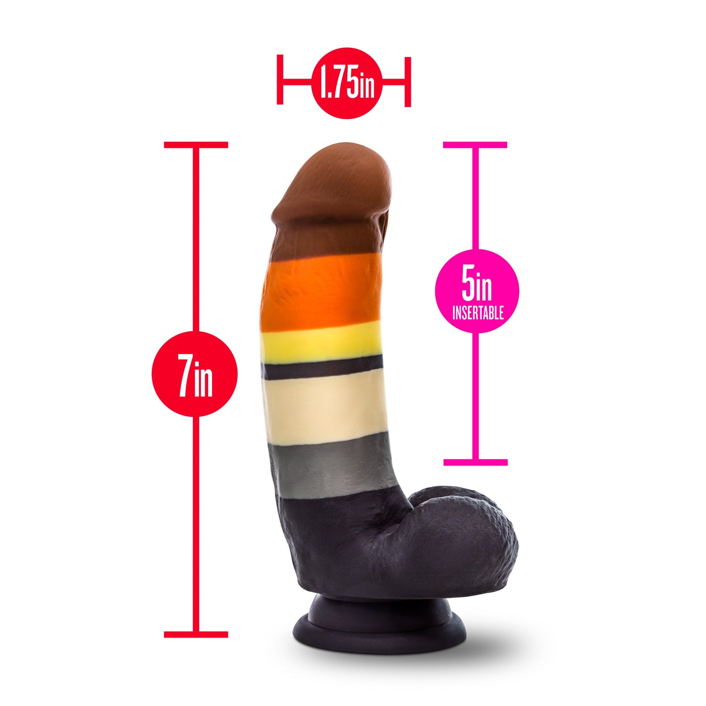 The measurements for the Avant Bear Pride Dildo; 7inches by 5inches, by 1.75 inches.