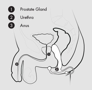 A diagram showing how to use the Aneros Vice 2 Remote Vibrating Silicone Prostate Massager.