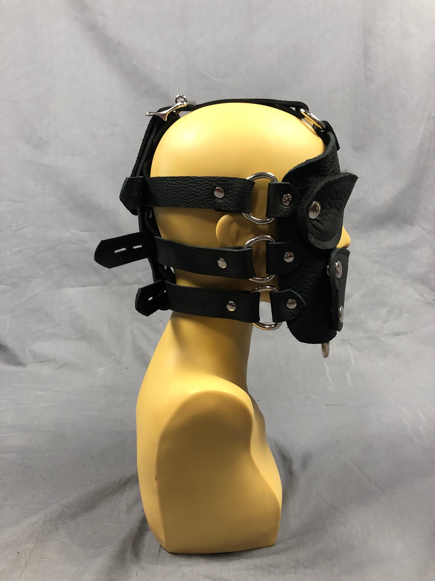 Side view of black bullhide head harness.