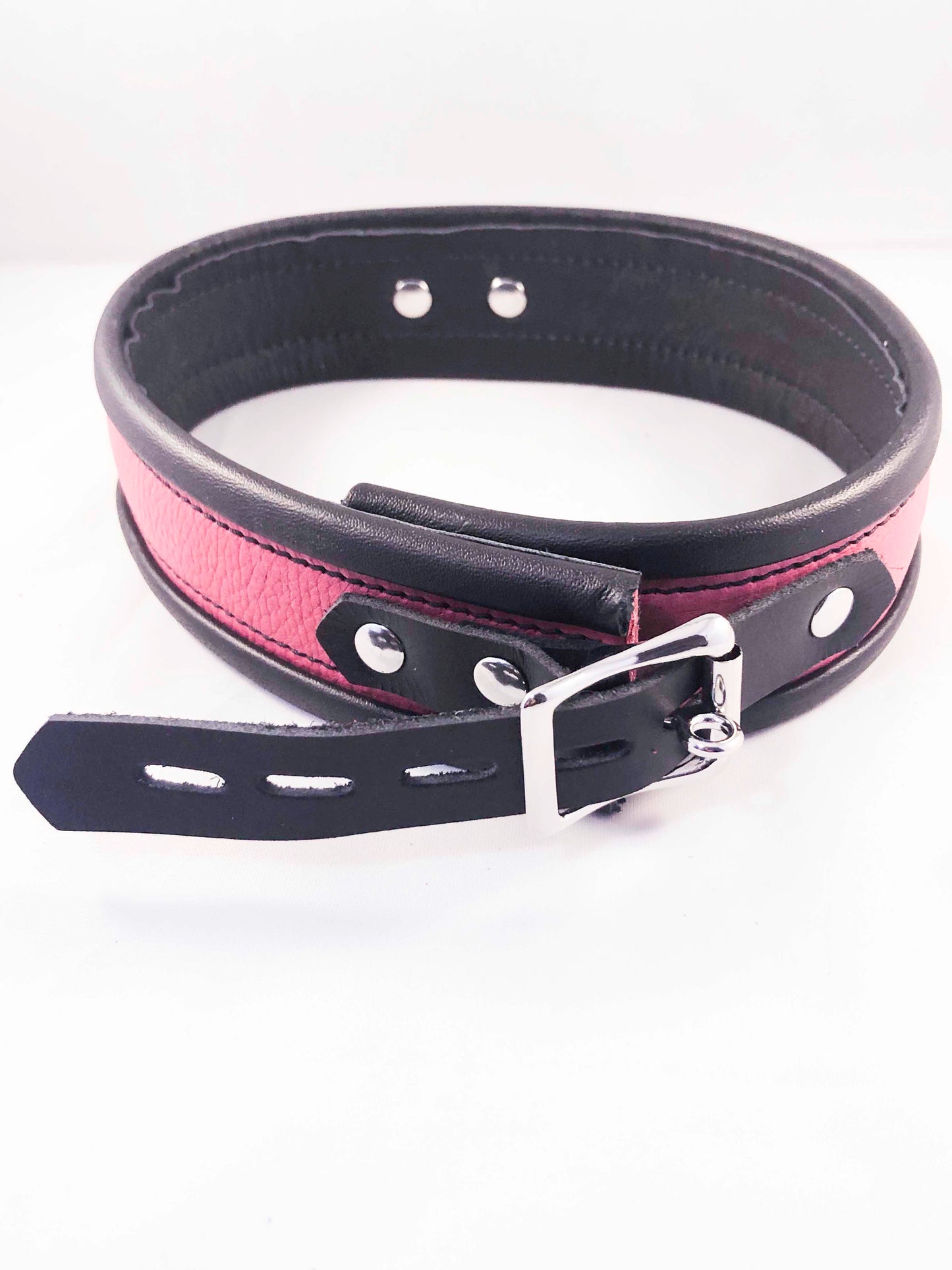 Pink collar, back.