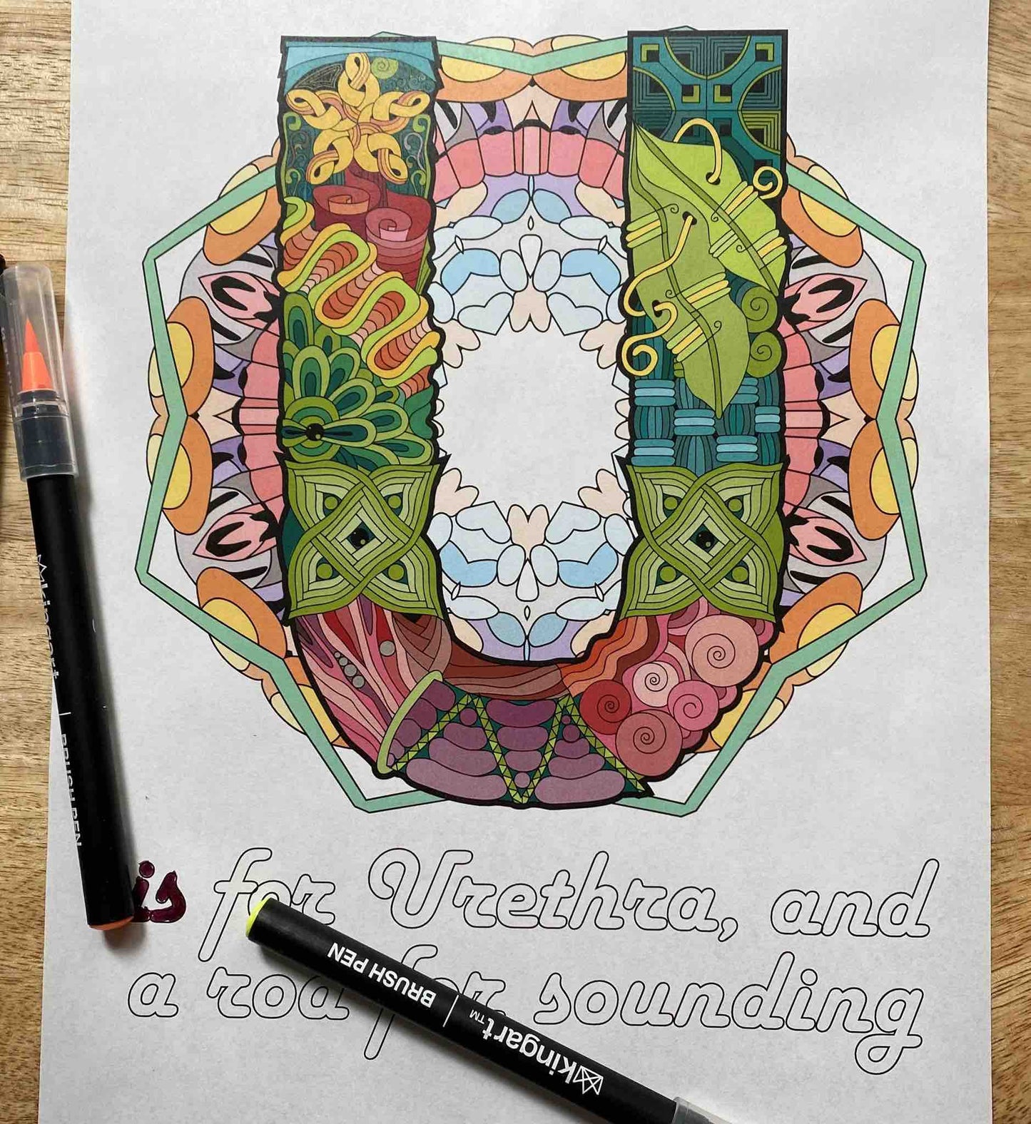 A page from A is for Anal: A Kinky Coloring Book that has been colored that says: U is for urethra, and a rod for sounding.