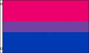 Bi Pride Flag