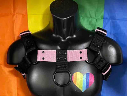 Black and pink Nylon O-Ring Bulldog Harness.