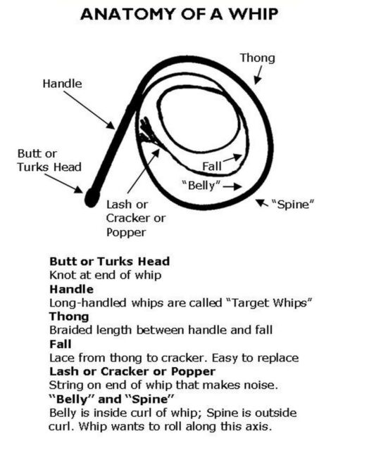 Inside the book Let's Get Cracking! (Second Edition): The How-To Book of Bullwhip Skills - Robert Dante.
