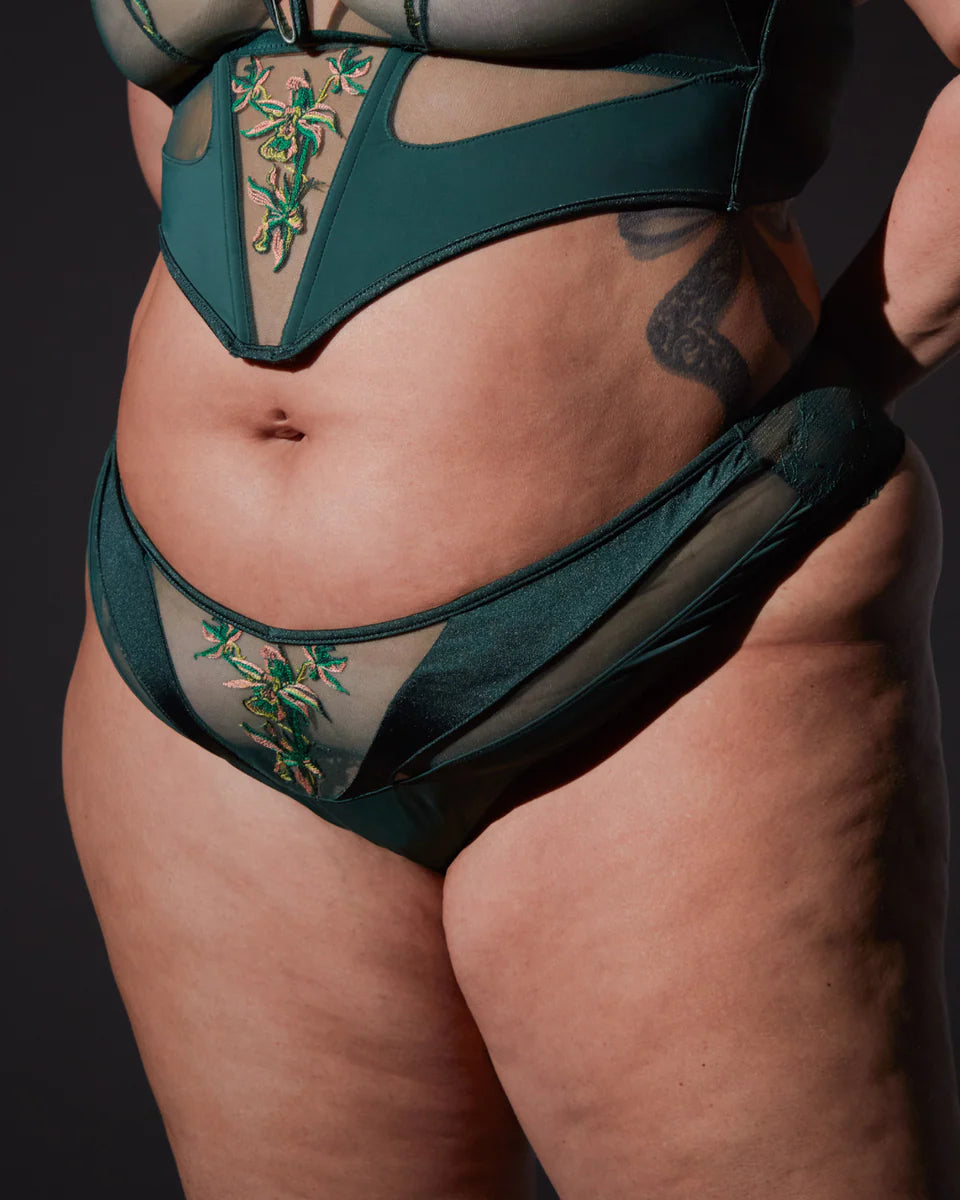 Thistle and Spire "Cyrene" Cheeky Panty