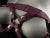 Regimental Dildo Harness
