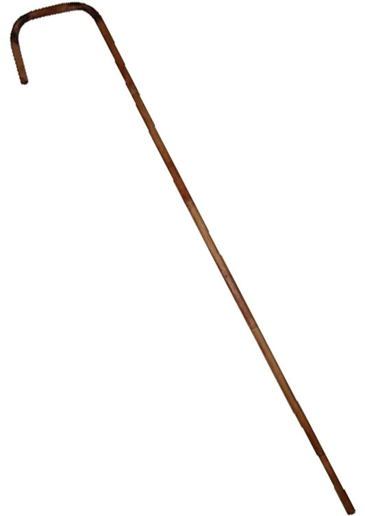 Bamboo Cane 29in''