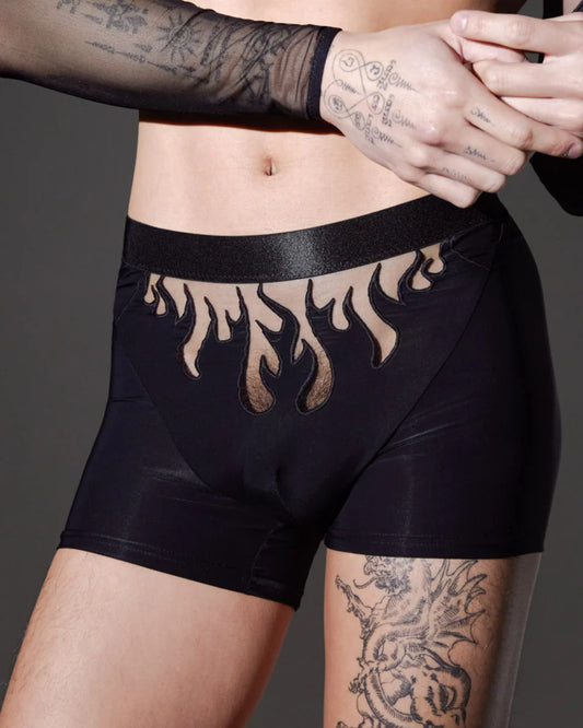 Thistle and Spire "Smokin Mirrors" Boxer Brief