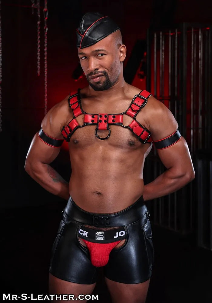 Dark Room Bulldog Harness