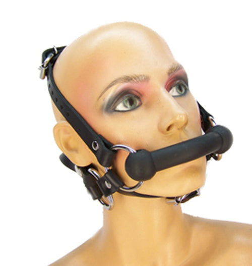 The front and right side view of a mannequin head wearing the Pony Bit without reins attached.