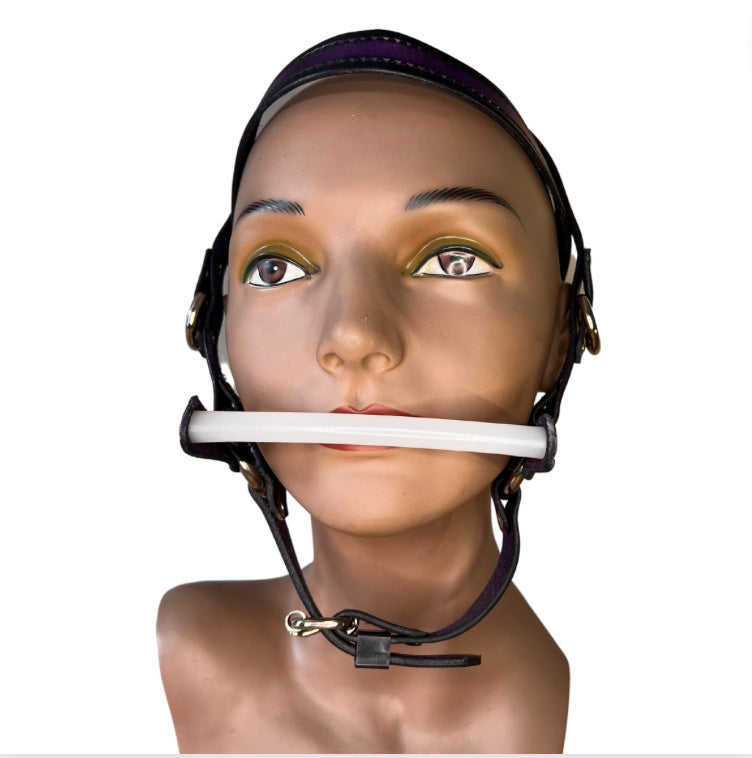 front view of locking bit head harness on mannequin head