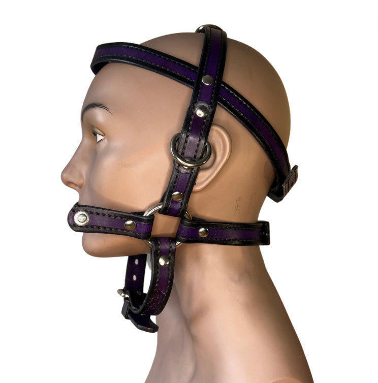 left side of purple leather locking bit head harness on mannequin head