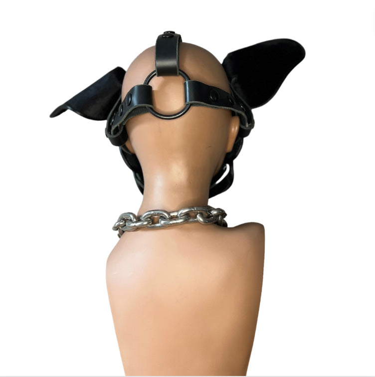 The back O-ring connectors for the black long short snout boar mask with tusks on a mannequin head wearing a heavy metal chain with lock around its neck.