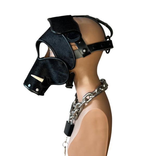 The left side of the black long short snout boar mask with tusks on a mannequin head wearing a heavy metal chain with lock around its neck.
