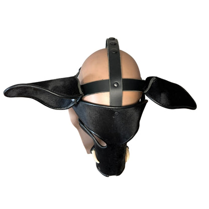 The top view of the black long short snout boar mask with tusks on a mannequin head wearing a heavy metal chain with lock around its neck.