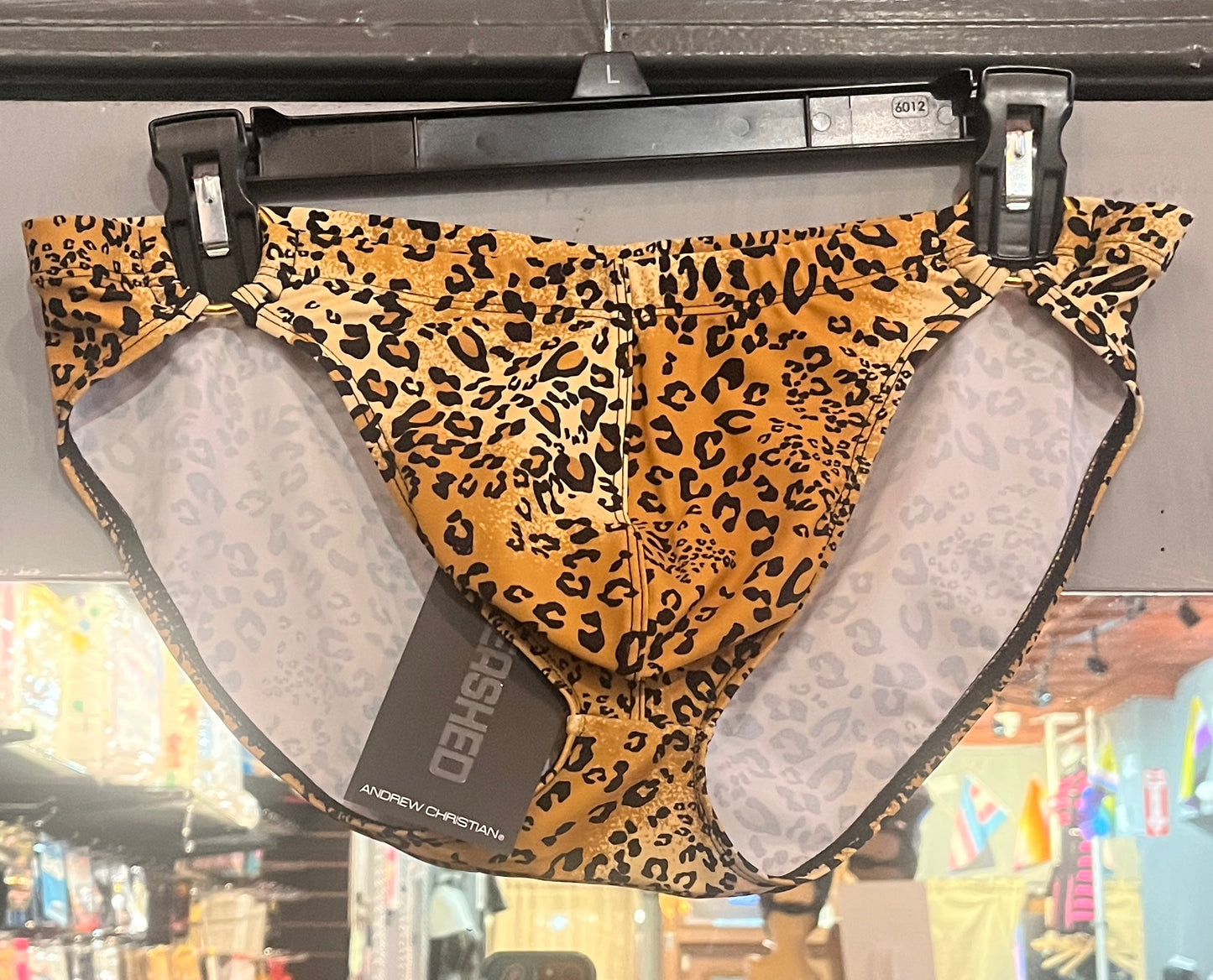Swim Brief