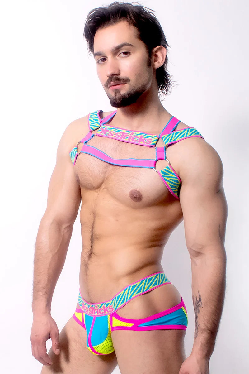 Prismatik Harness