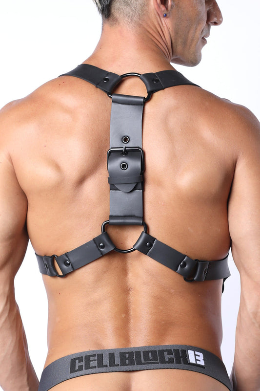 Fasten Neoprene Harness