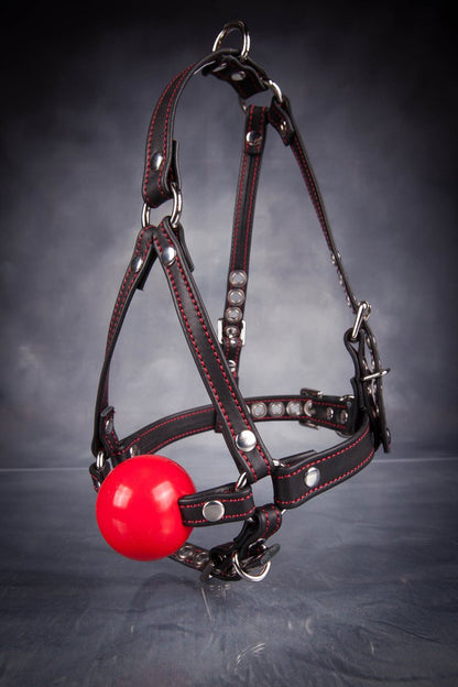 The Bitches Harness Ball Gag.