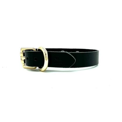 The side of the black leather day collar.