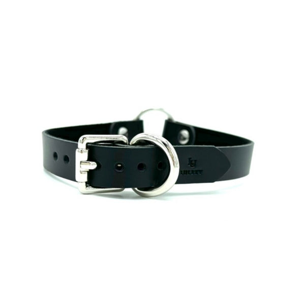 The buckle of black leather day collar.