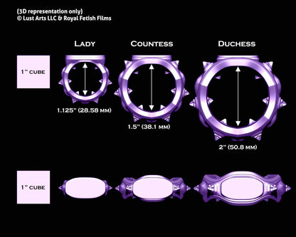 The size dimensions of the Royal Fetish FEMDOM Edging Body Bands.