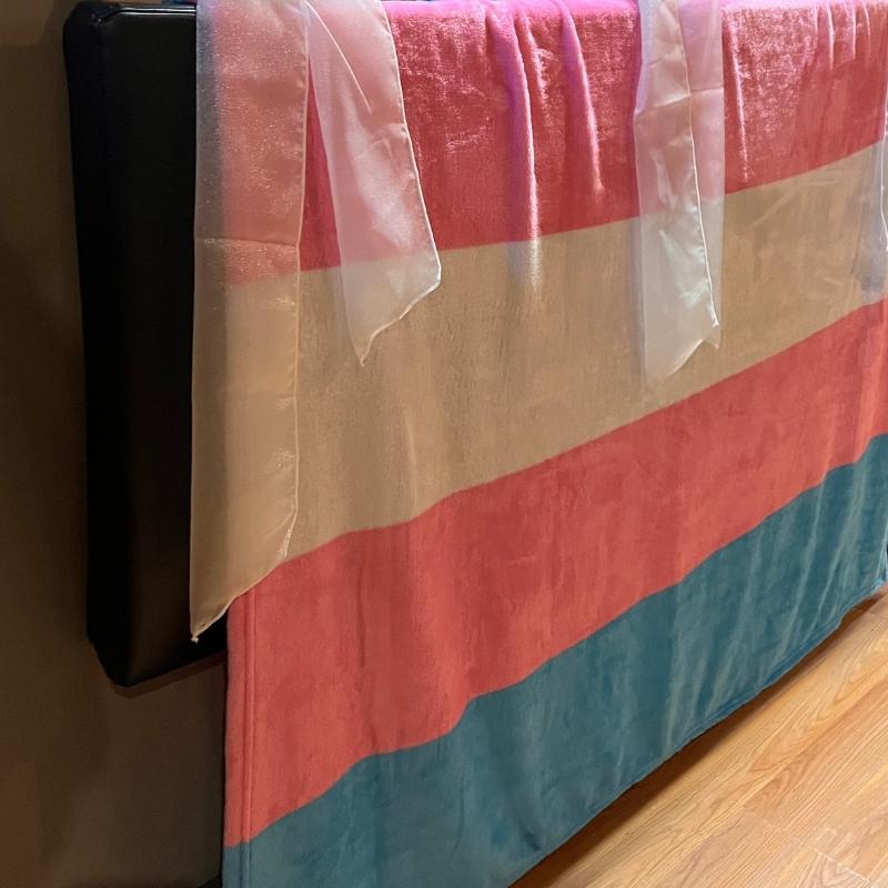 Trans Pride Fleece Blanket
