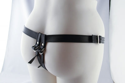 Fave Plug Harness